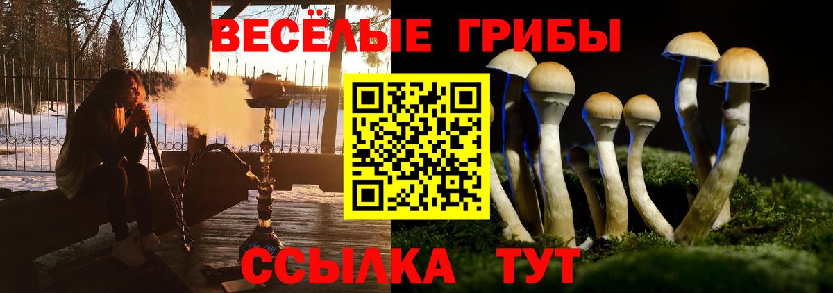 Галлюциногенные грибы Psilocybine cubensis Ялта