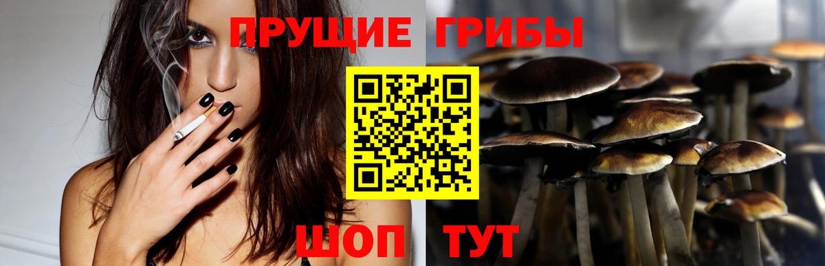 Галлюциногенные грибы Psilocybine cubensis  Вход с VPN  Ялта 