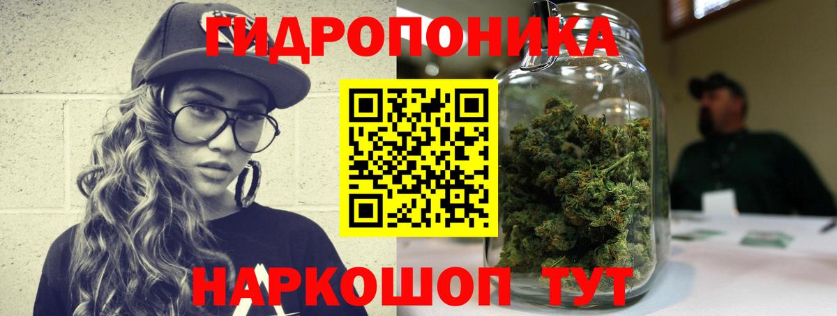 Канабис тримм  Вход с VPN  Ялта  Бошки марихуана план  Марихуана OG Kush  Марихуана THC 21% 
